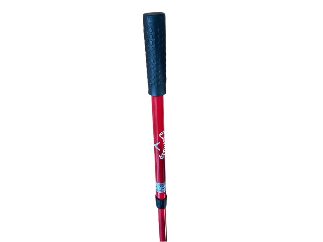 Red and blue telescopic walking stick with a rubber grip handle, designed for outdoor use.