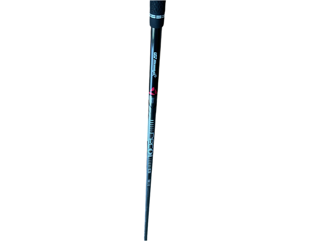 Black and purple paintbrush with a metallic ferrule, likely made of metal or plastic.