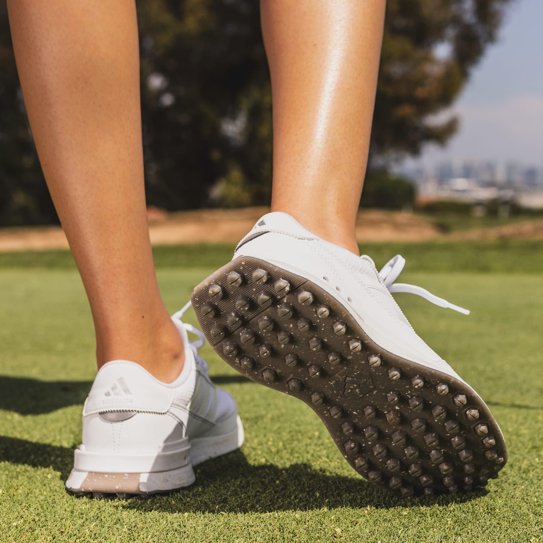 Adidas golf shoes 2019 on sale