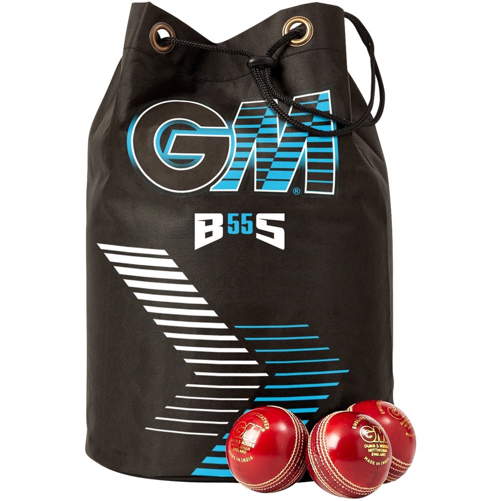 GM Cricket Ball | Bag (2026)