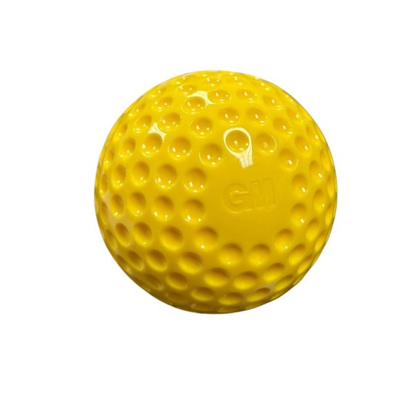 GM Cricket Ball | Bowling Machine Bucket