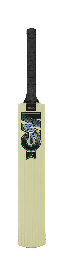 GM Cricket Bat | Aion 101 Kashmir Willow
